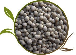 Ammonium superphosphate - Turkmenistan