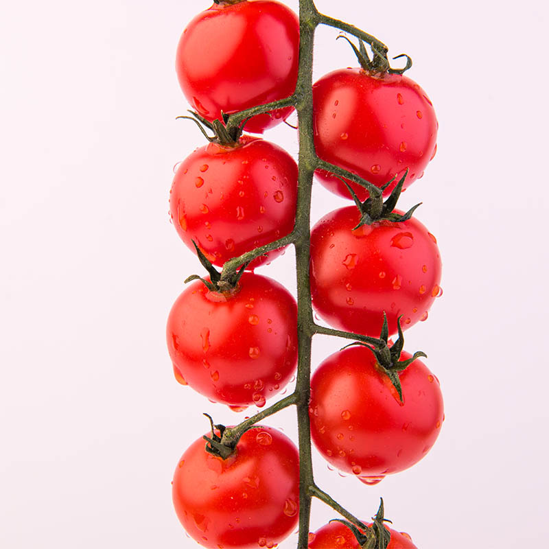 Mahmal Greenhouse Tomatoes — Cluster, Beef and Cherry — Yigit, Turkmenistan — view 5