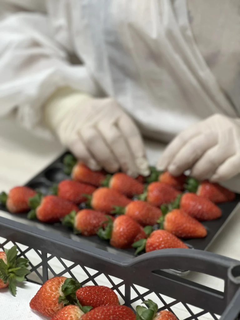 Fresh Albion Strawberries, Seven Retail Formats — view 20