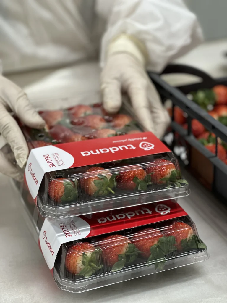 Fresh Albion Strawberries, Seven Retail Formats — view 21