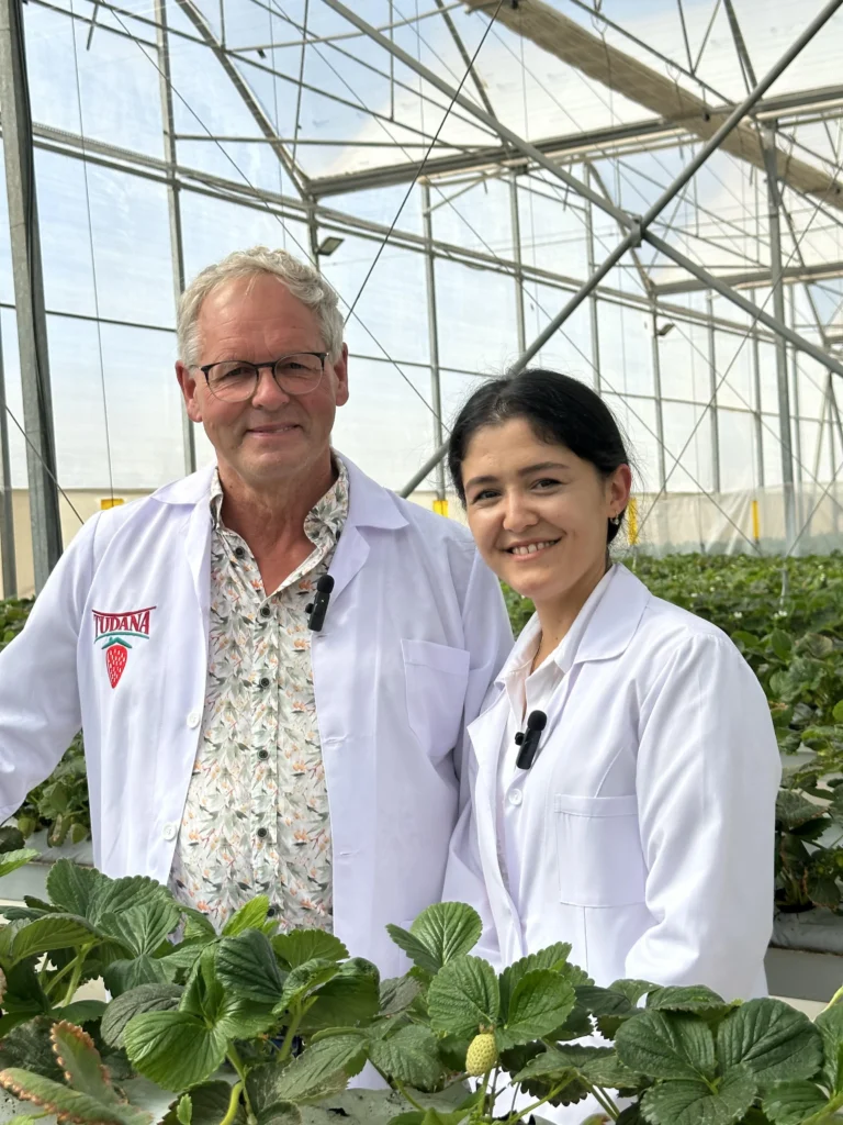 Fresh Albion Strawberries, Seven Retail Formats — view 16